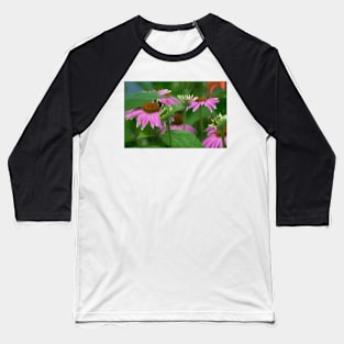 Summer Coneflowers Baseball T-Shirt